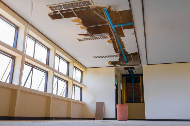Best Water damage cleanup near me  in Silver Springs Shores, FL