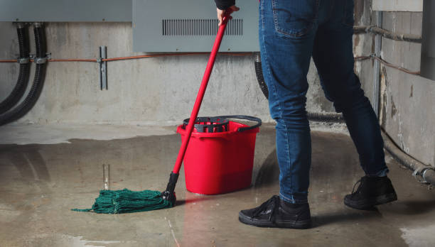 Best Water damage restoration near me  in Silver Springs Shores, FL