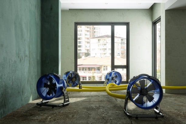 Sewage cleanup and water damage restoration in Silver Springs Shores, FL
